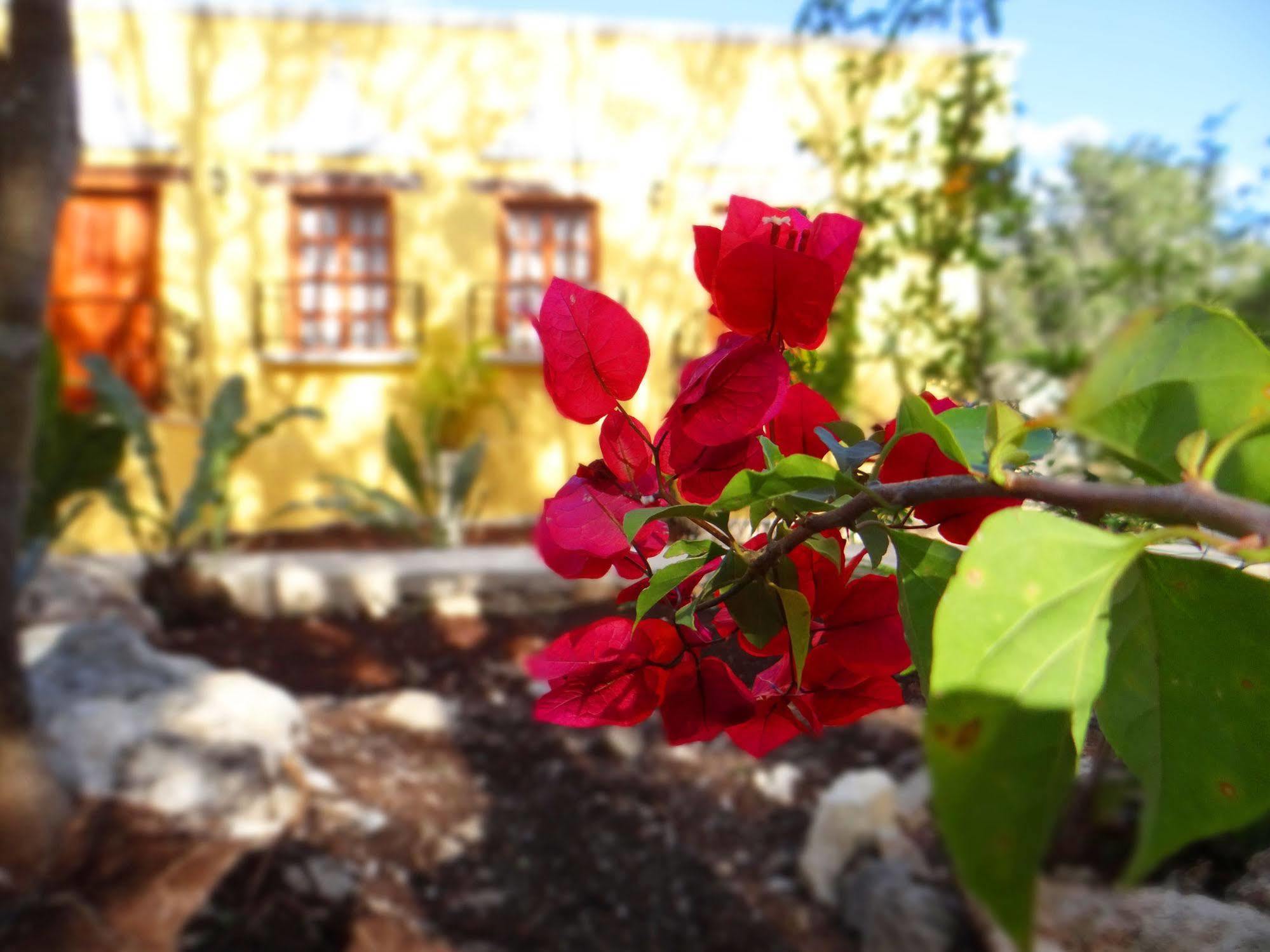 Bed and Breakfast Hacienda Cobá Zewnętrze zdjęcie
